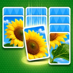 Jigdrop Match-Solitaire Puzzle 图标